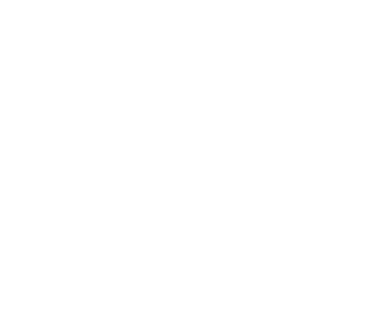 Speedy Pizza