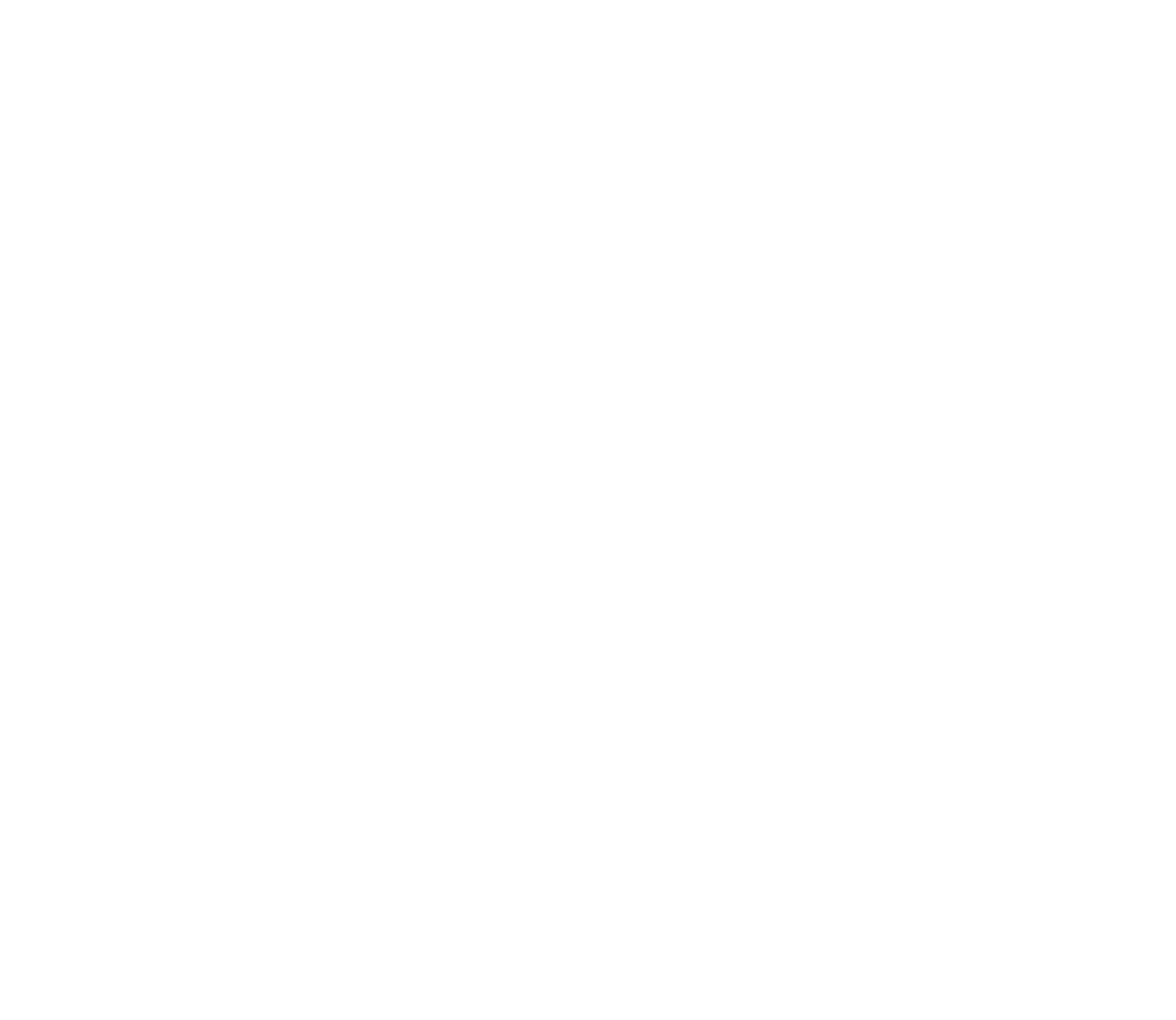 Speedy Pizza